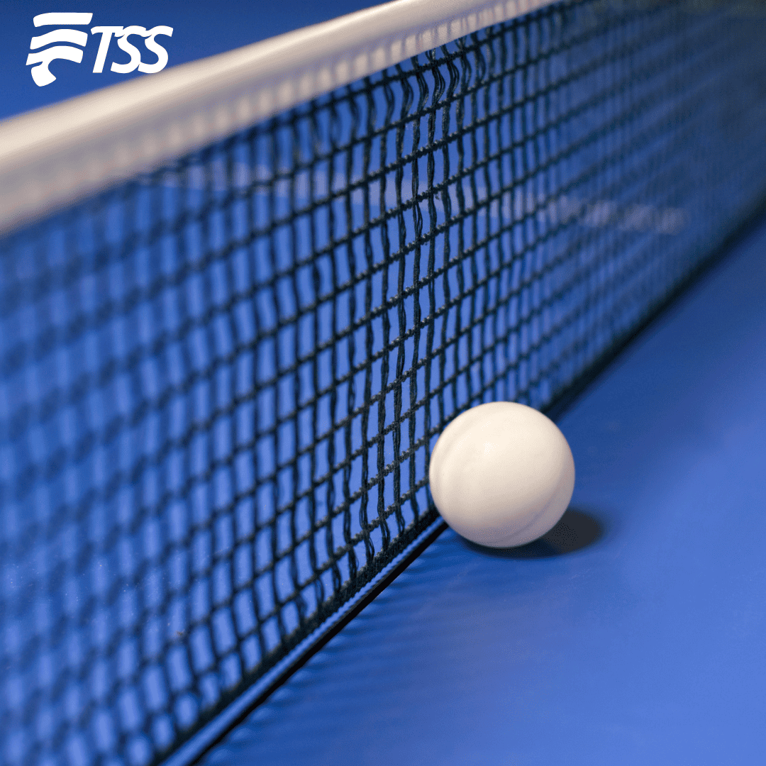 Giant Dragon  Red de Ping Pong Smart (Cod: Dto)